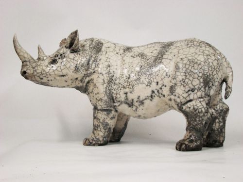 Rhino 354