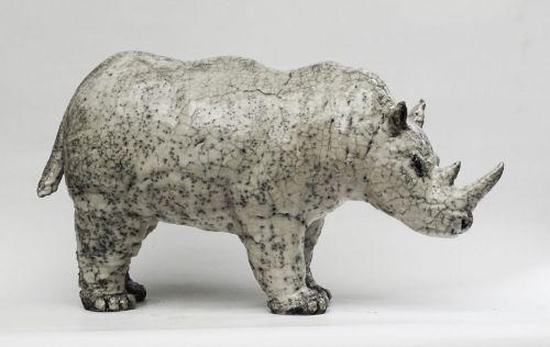 Rhino 167